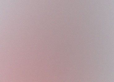 Artisanal grazing spread with diverse flavors