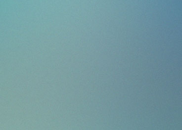 Indian-inspired appetizers arranged on decorative platters